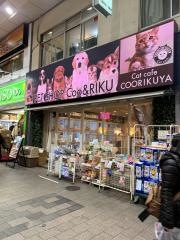 ペットショップＣｏｏ&ＲＩＫＵ　高円寺店