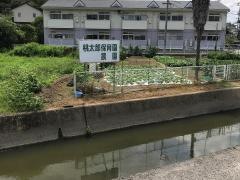 桃太郎保育園