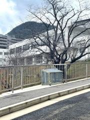佐世保市立愛宕中学校