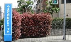 やまだ内科クリニック
