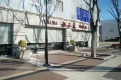 中国料理桃花林