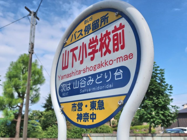 投稿写真8