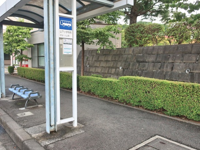 投稿写真4