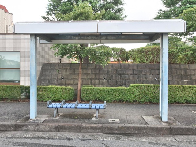 投稿写真1