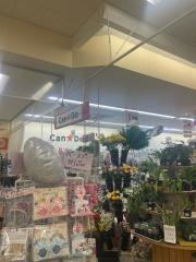 キャンドゥ　いわき泉店