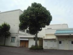 文庫小学校