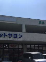くすりのレデイ松江店