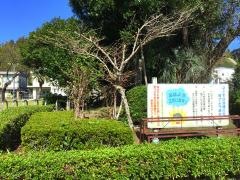 清水小学校