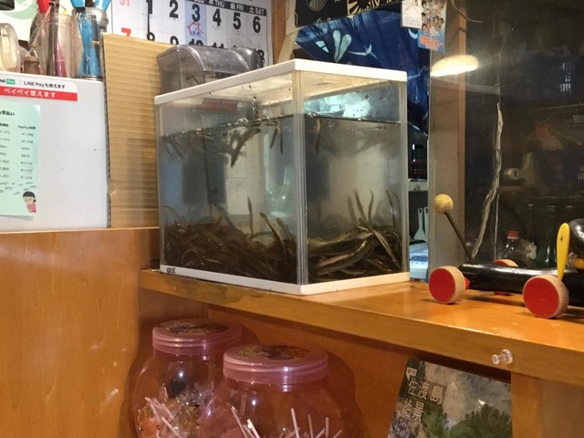 内観(中の様子) 画像10