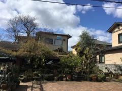 公文式亀田町教室
