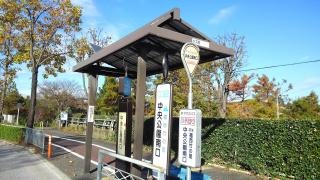 「中央公園南口」バス停留所