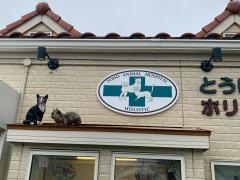 とうほホリスティック動物病院