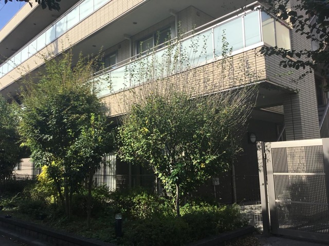 ニチイホーム目白