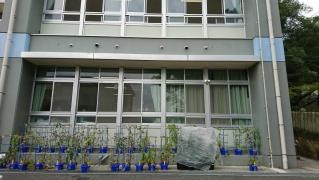 別所小学校