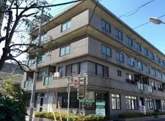 うみがめクリニック