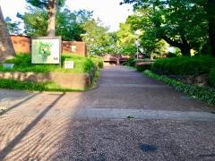 大森貝塚遺跡庭園
