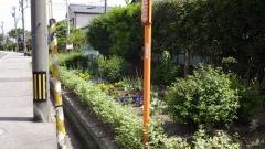 住友町緑地