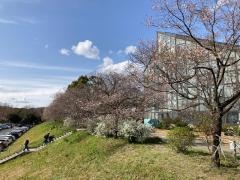 庄内緑地