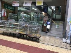 平井眼科