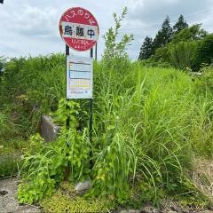 「鳥越中」バス停留所