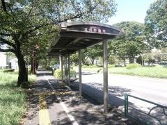 「立川市役所」バス停留所