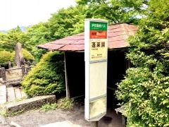 「蓬莱園」バス停留所