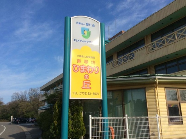 東尋坊ひまわりの丘