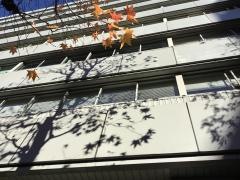 大同生命保険株式会社　横浜支社
