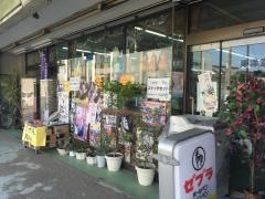 東洋堂