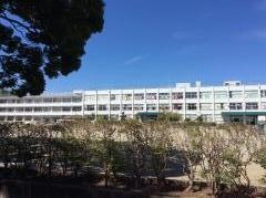 東金子小学校