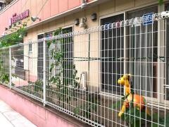 実遊中央保育園