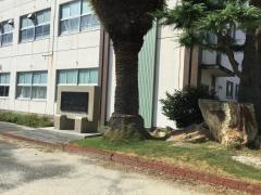 八町小学校