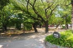 野黒公園