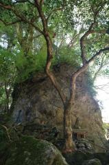 天神社