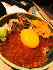 たいのたい