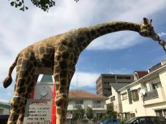 しらこばと子供クリニック