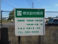 椋本動物病院