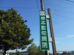 椋本動物病院