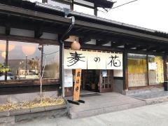 麦の花
