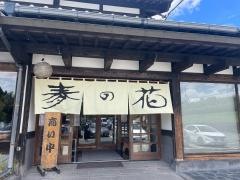 麦の花