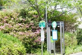 「桐が丘１」バス停留所