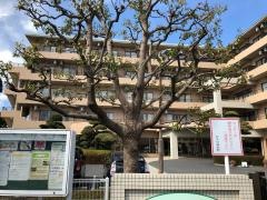 セイワ習志野介護老人福祉施設