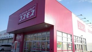 ドラッグストアコスモス　糸貫店
