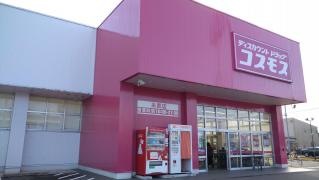 ドラッグストアコスモス　糸貫店