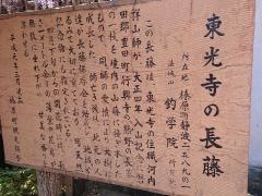 東光寺