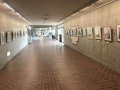 常滑市民文化会館