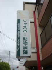 ジャスパー動物病院