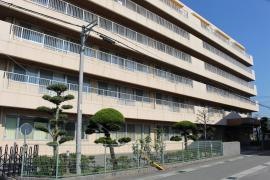 あさなぎ