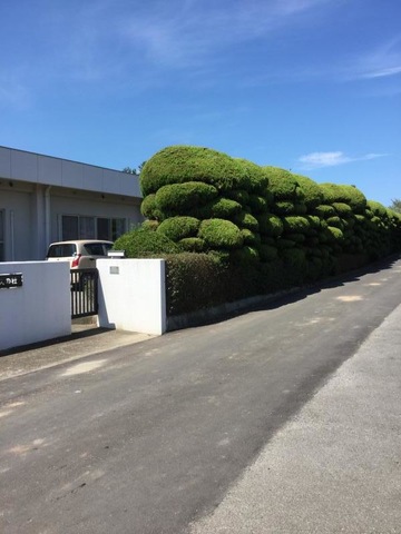 養護老人ホーム　和喜久の杜