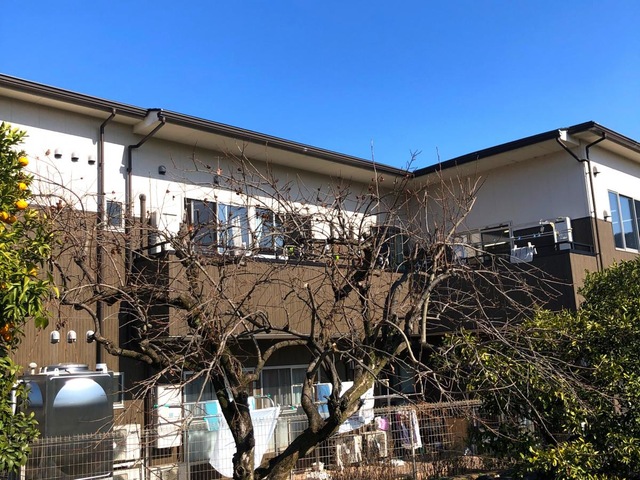 洛和グループホーム醍醐春日野